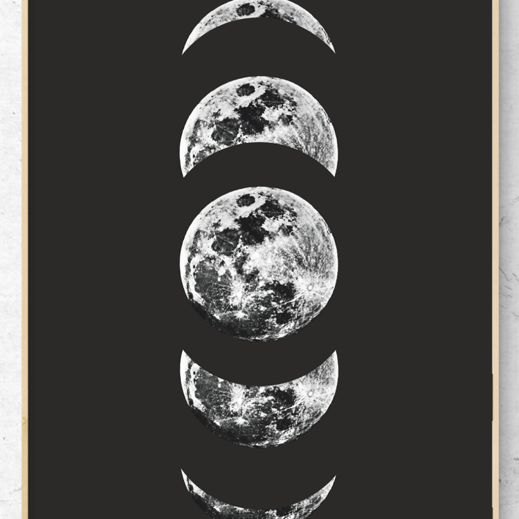 3 (Large).png