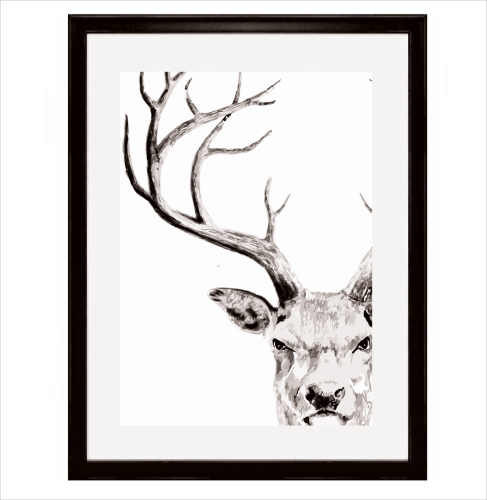 jeleń2 (Large).png