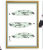 MIĘTA1aa(Large).png