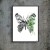 motyl (Large).jpg