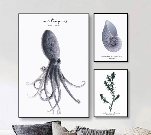 1S.jpg